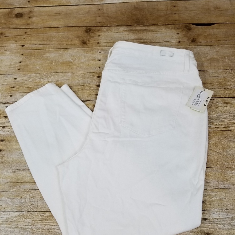 Lila Ryan Stitch Fix  Plus Size Skinny Jeans